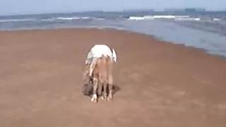 Рассказы сэкс порно Симпатичный кустик